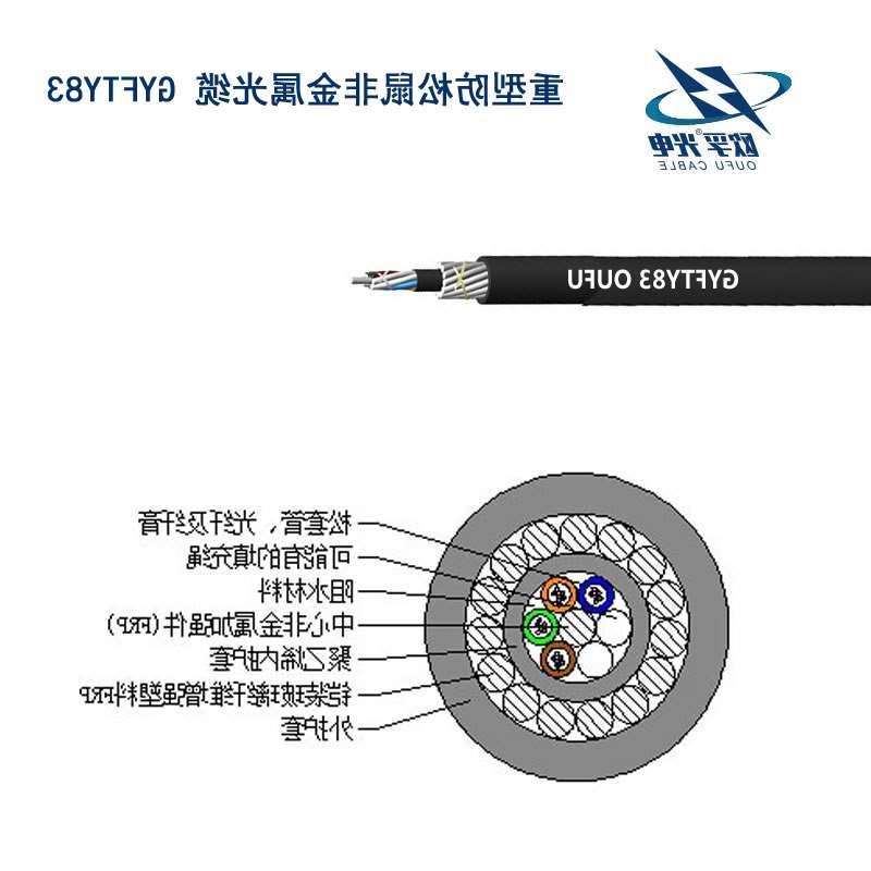 欧孚重型防松鼠非金属光缆GYFTY83